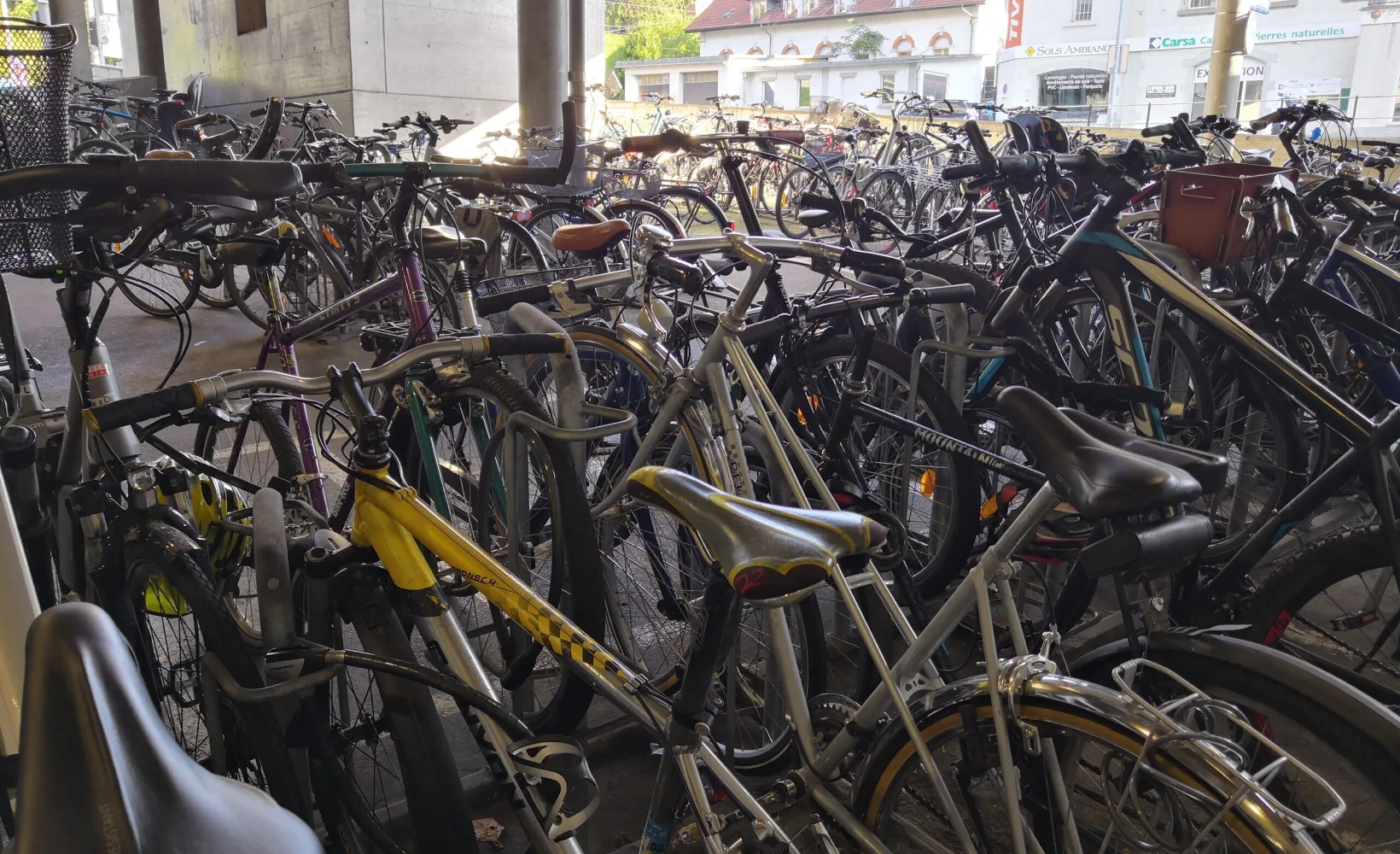 1 September Claudius Leopold