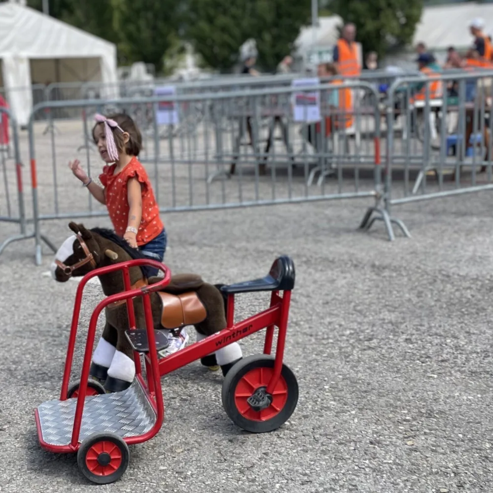 transport à cheval ludique