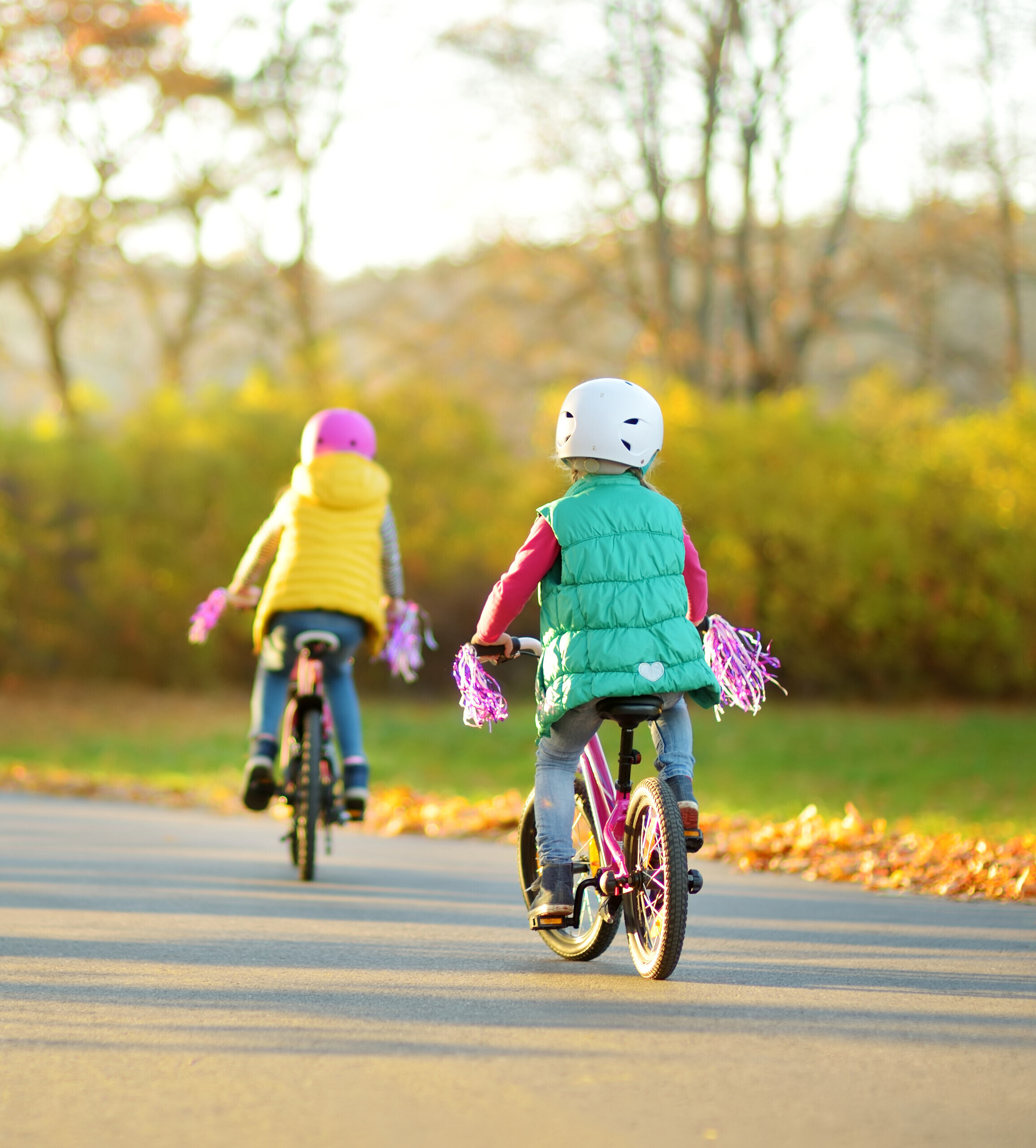 Adobe Stock 277371548 carre