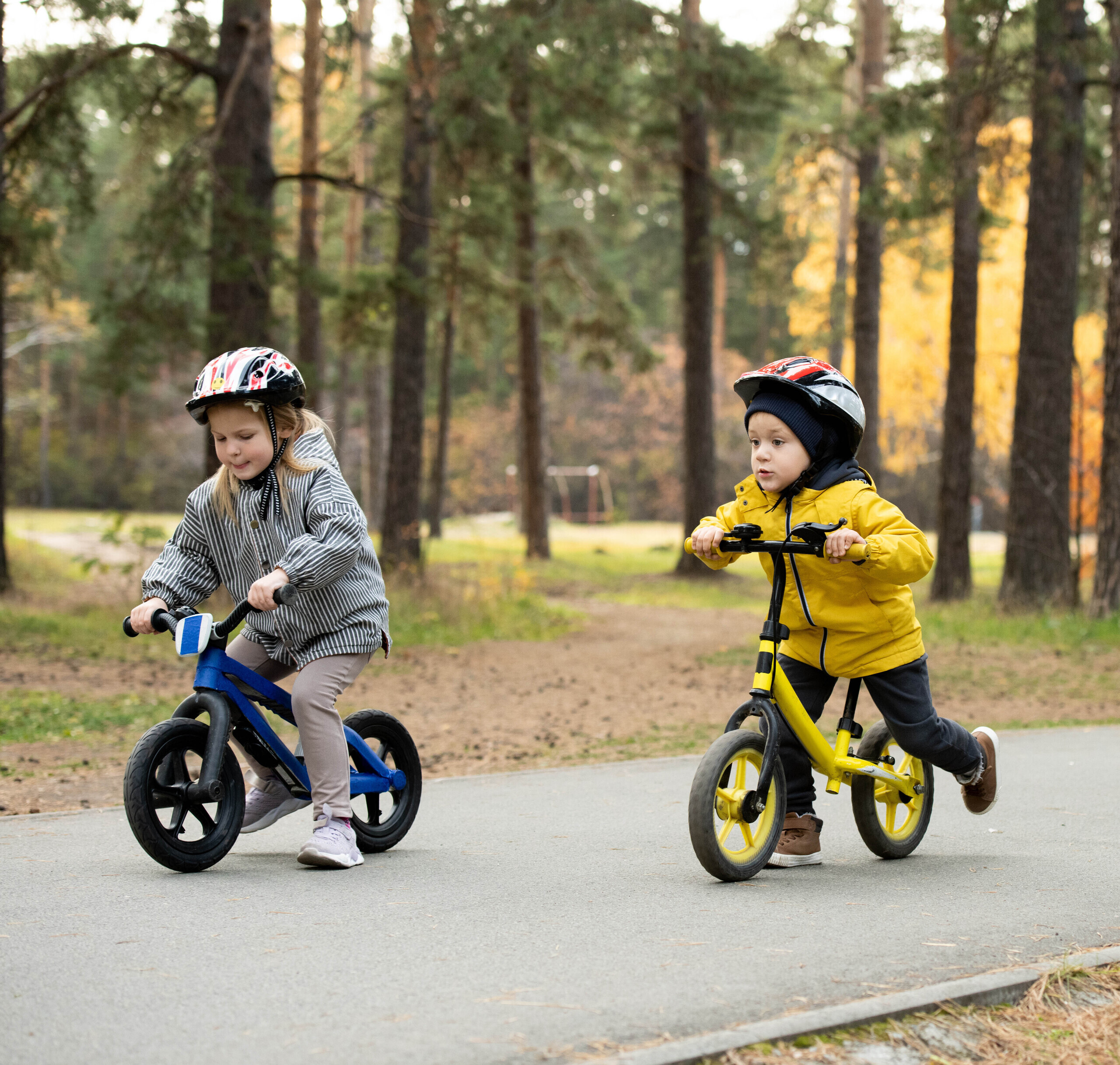 Adobe Stock 390874030 carree