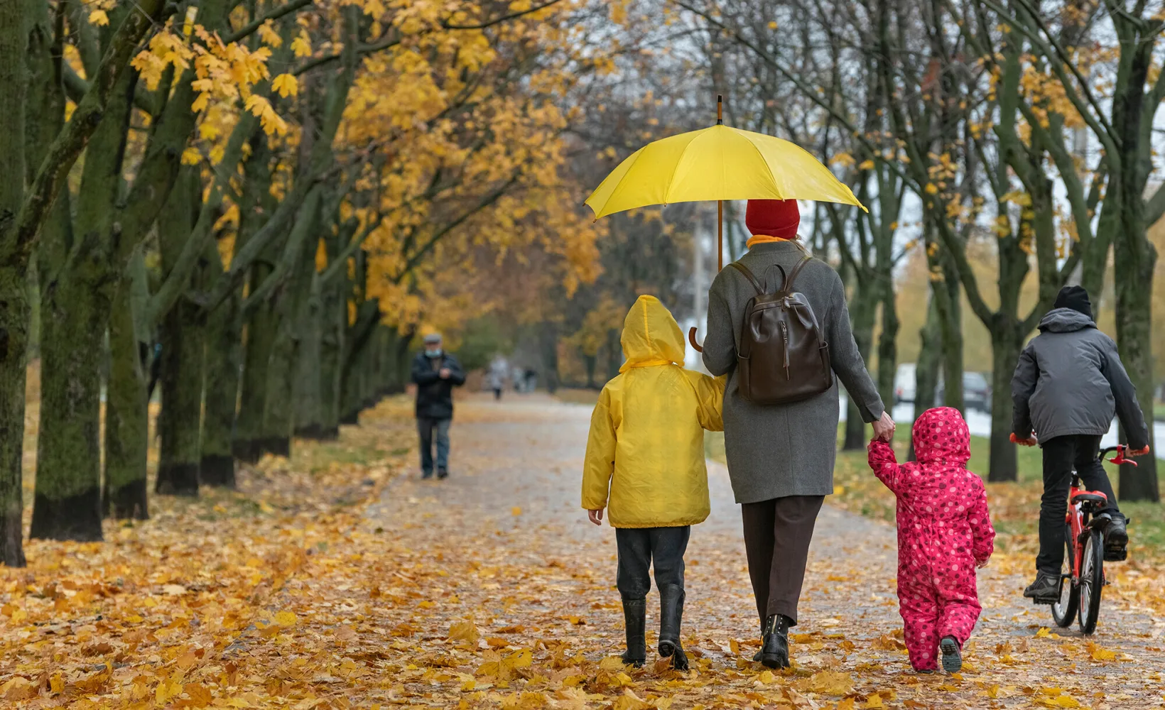 Famille promenade automne Adobe Stock 457974490 red