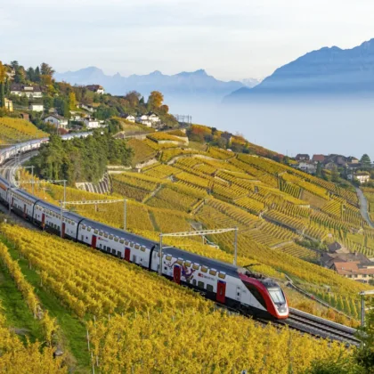 Train Vignobles Demi-tarif découverte CFF