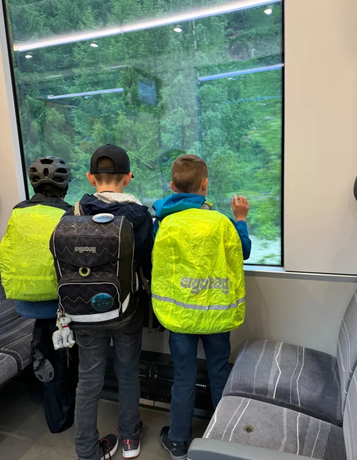 ATE Pedibus Chemin de l'école Peditrain Valais
