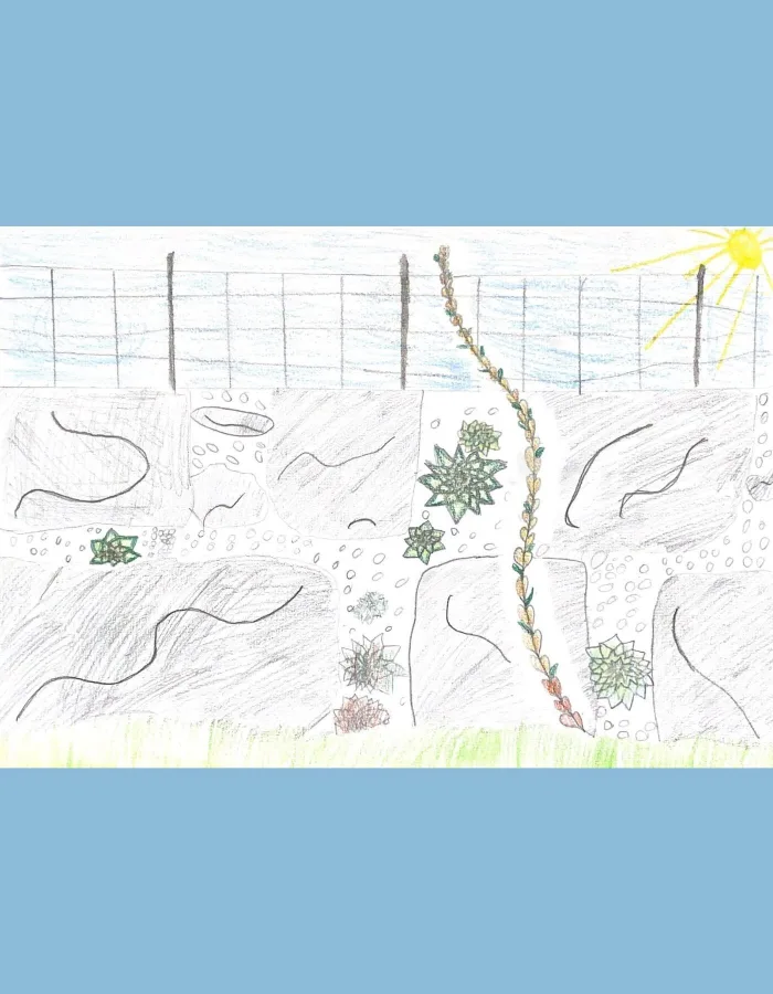 Liana Pop concours de dessin walk to school