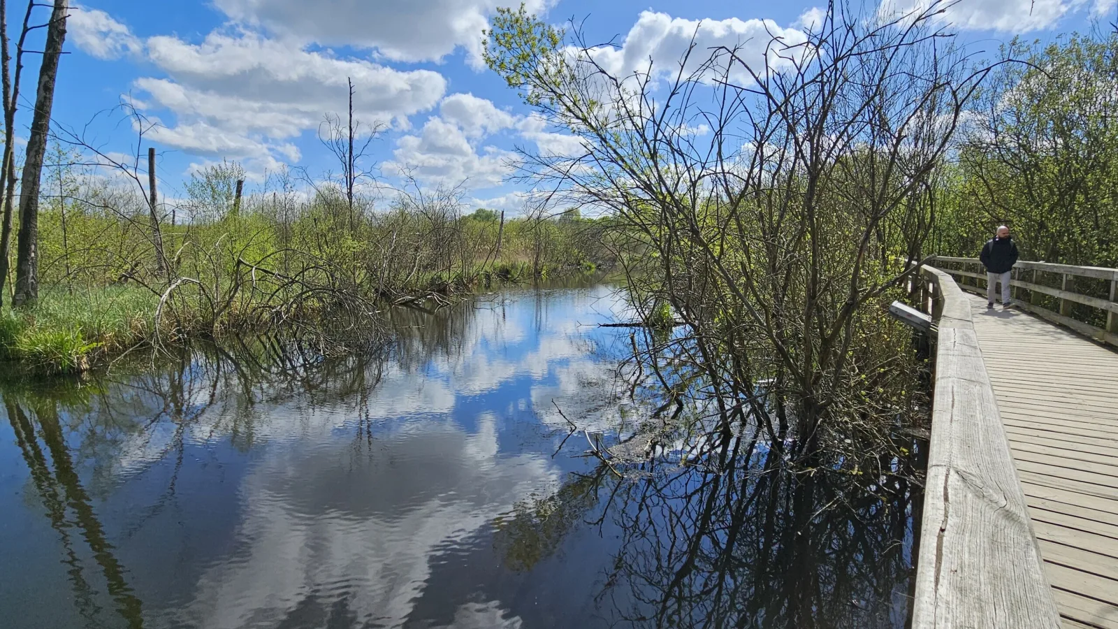 Randonnée à Berlin Eichwerder Steg
