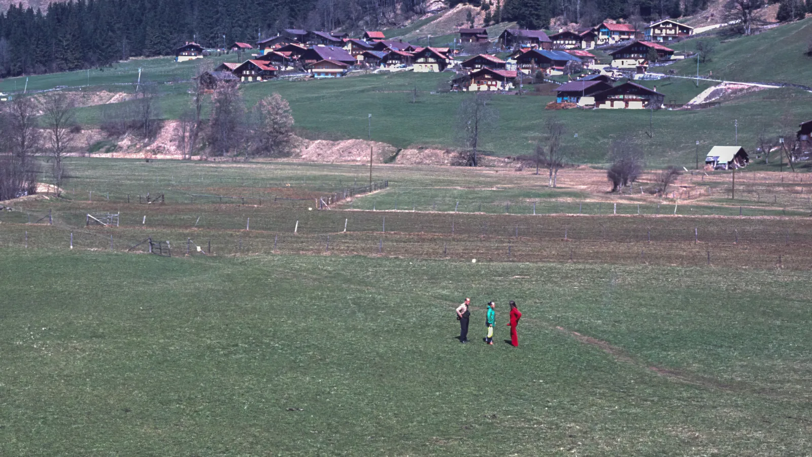 Simmental vorher