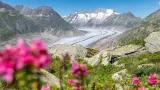 Glacier  Alliance pour l'environnement