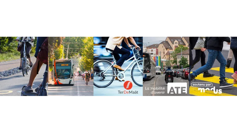 Illu Cohabitation Modus