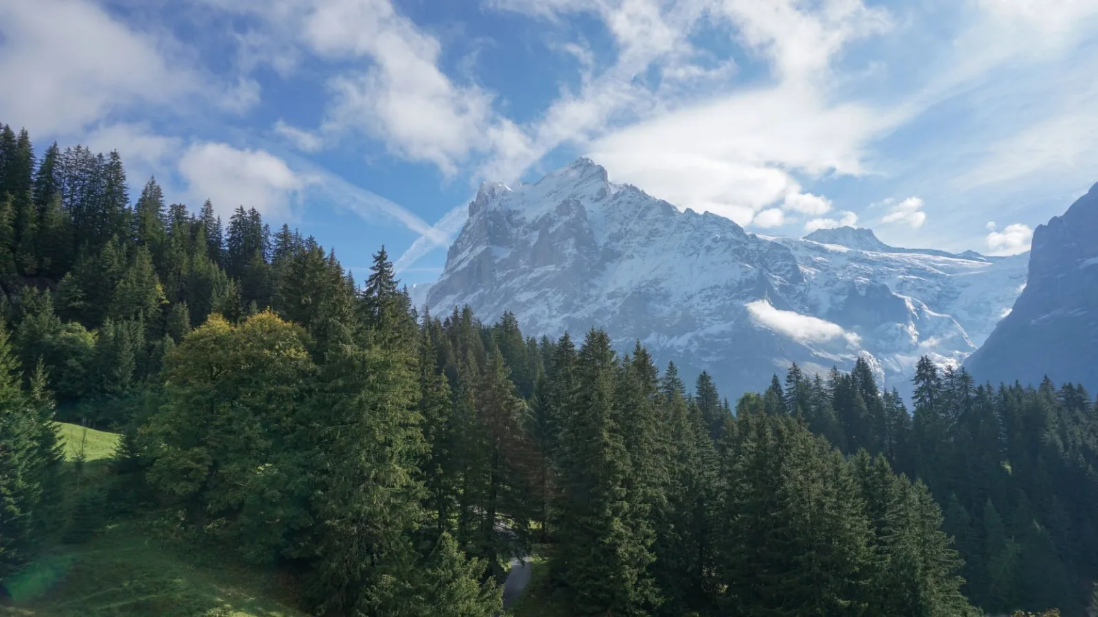 Impact Webinaire Bild