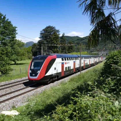 FVD unter Palmen Capolago Tessin 10